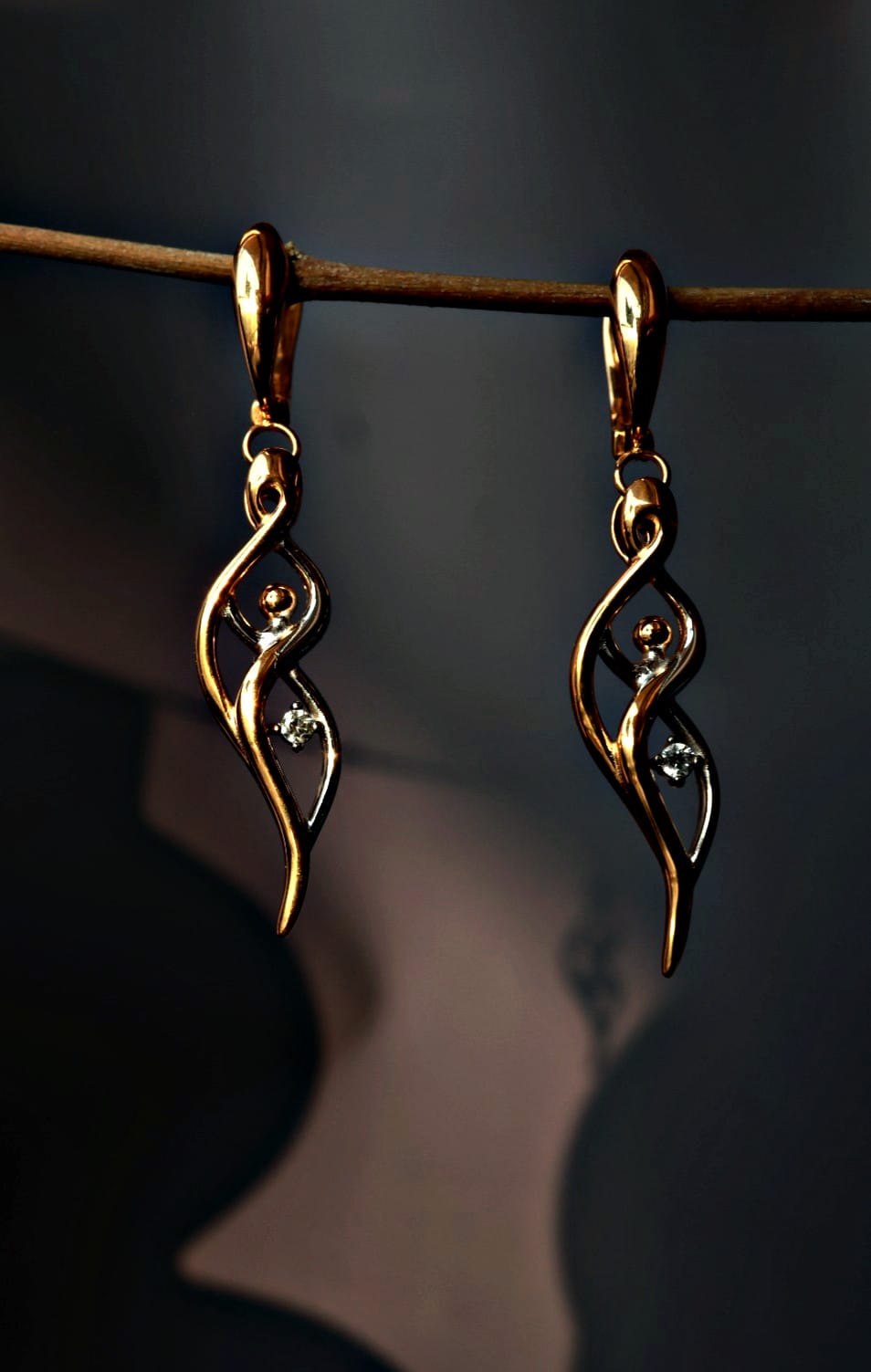 Earring - Beauty Thought - Gemini Dia & Co Jewelry
